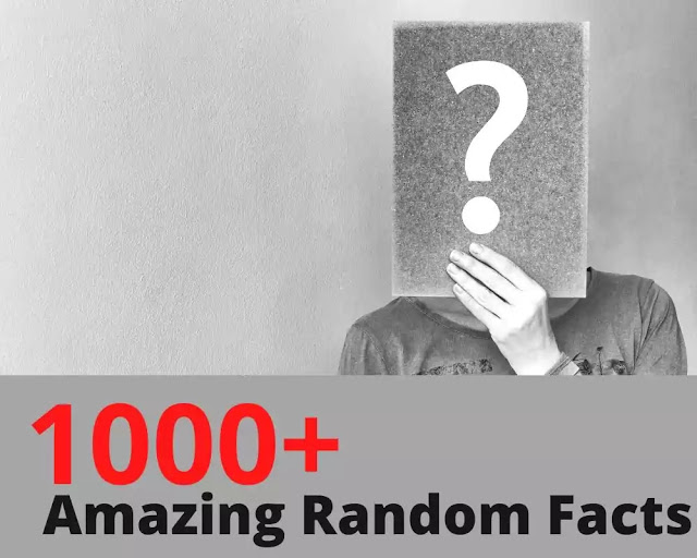 amazing random facts