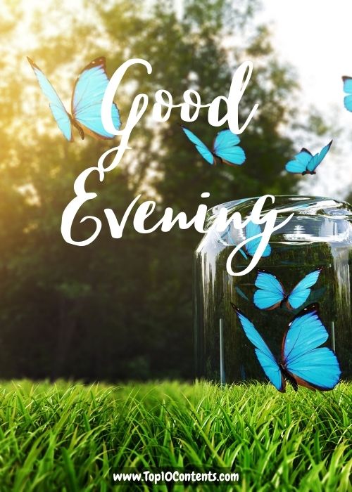 Good Evening Wallpaper Download